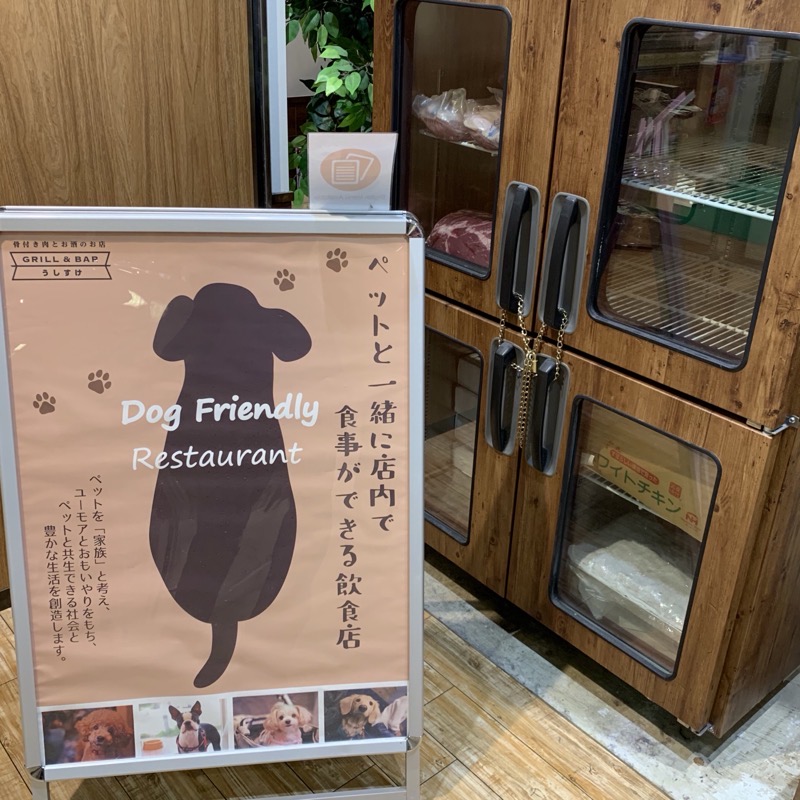 dog friendly restaurant