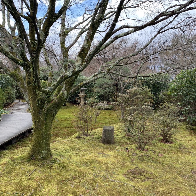 shogunzuka garden greenery