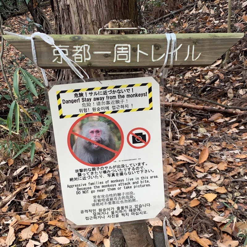 shogunzuka trail monkeys