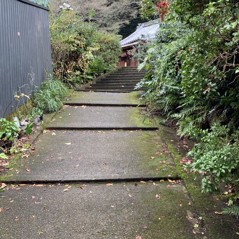 shogunzuka trail slippery steps