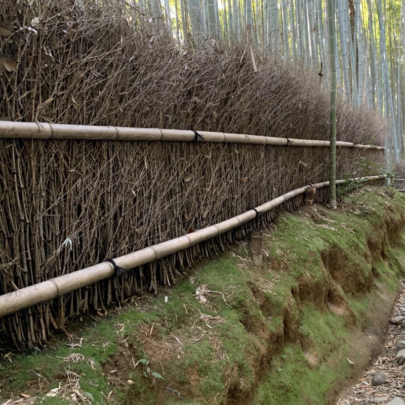 arayashima bamboo 1