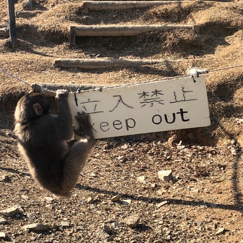 macaque keep out