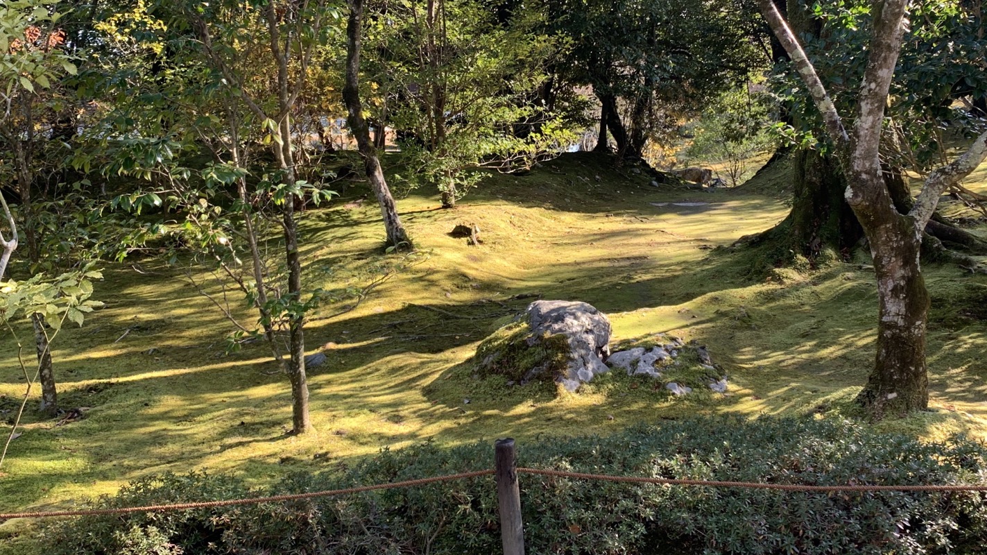 tenryu-ji moss garden