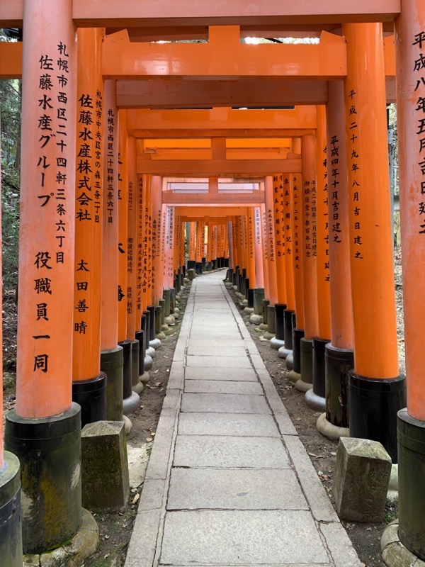 fushimi inari torii 2