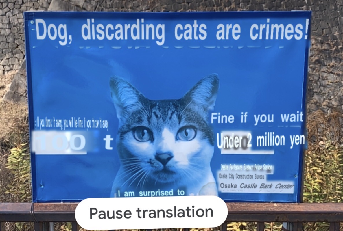 discarding cat google translate fail