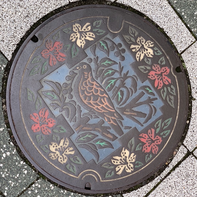 ikeda manhole cover