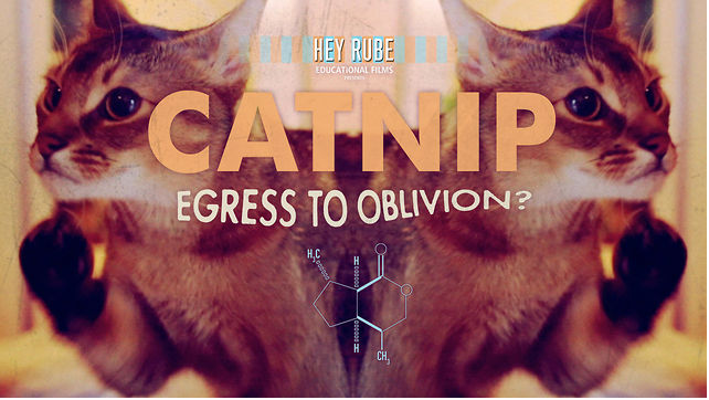 Catnip : Egress to Oblivion?