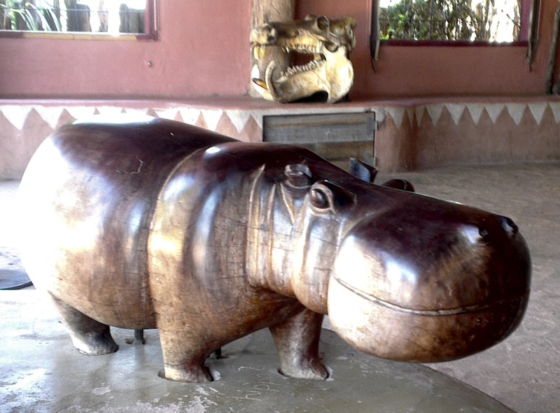 Funky wooden Hippo and a replica Hippo skull